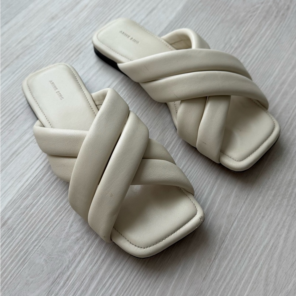 Anine Bing Slides